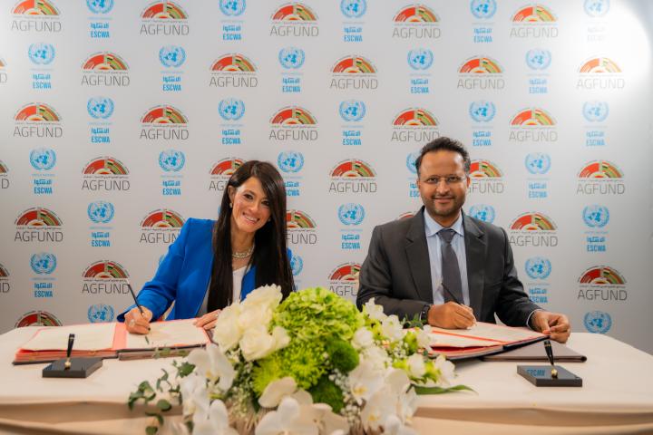 ESCWA and AGFUND renew partnership 