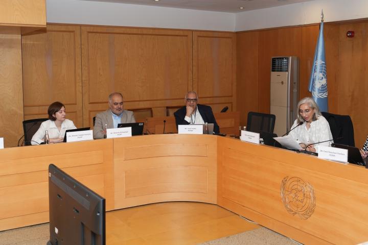 UN Coalition on Sand and Dust Storms holds 11th meeting in Beirut