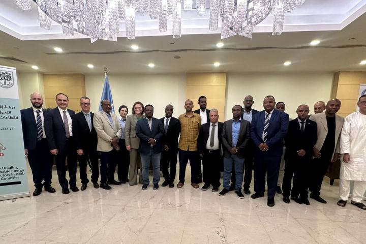 Sustainable energy transition across sectors in Arab LDCs