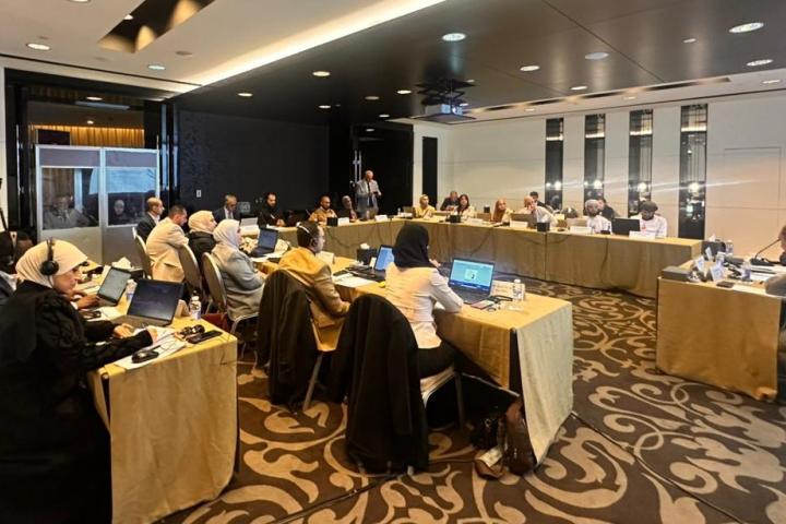 Eighth training on using SDMX for SDG data reporting