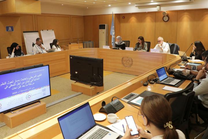 Transforming food systems in Lebanon: priorities for post-conflict recovery