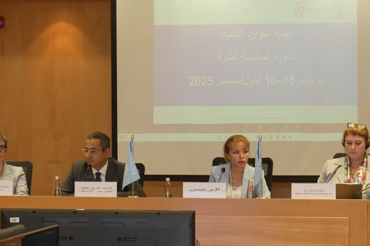 ESCWA Committee on Water Resources holds sixteenth session in Beirut