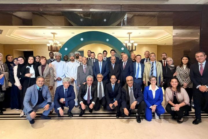 ESCWA Executive Committee and Technical Cooperation Network meetings in Cairo