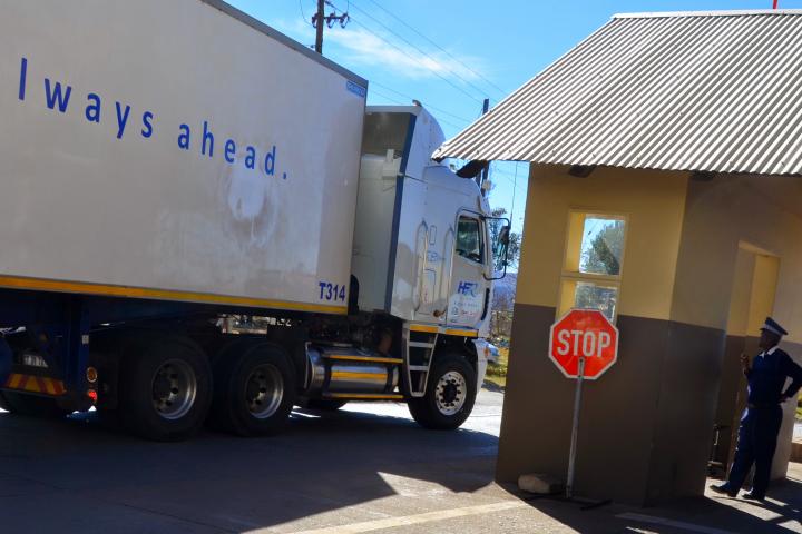 Border Ngwenya photo