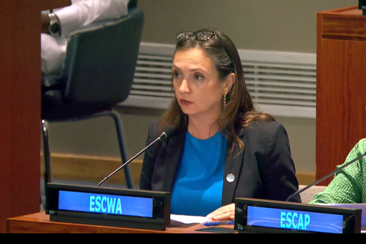 Mobilizing regional efforts for SDG implementation