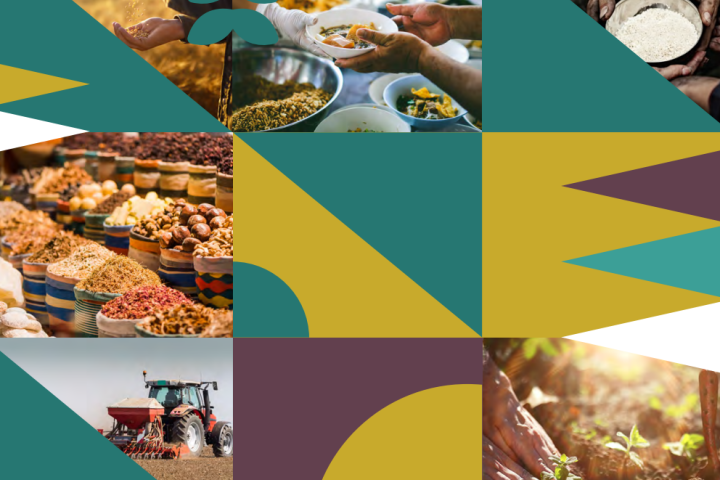 ESCWA Sounds the Alarm on Fragile Arab Food Systems and Launches Groundbreaking Assessment Tool for Needed Transformation