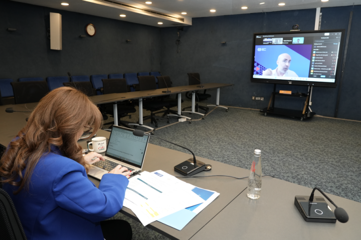 Experts discuss social protection reforms in the Arab region