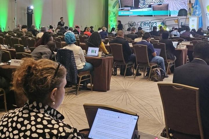 ESCWA calls for stronger coordination to combat sand and dust storms