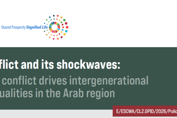 Cover: Conflict and its shockwaves: How conflict drives intergenerational inequalities