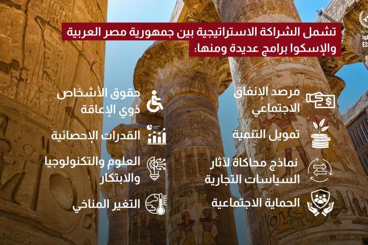 infographic arabic