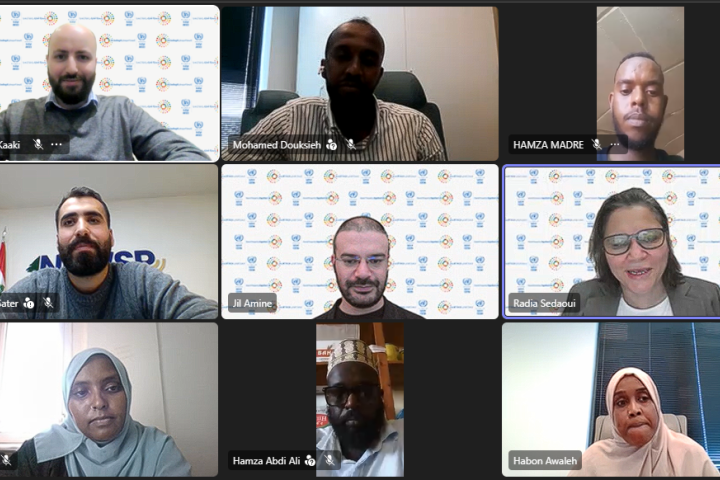 screenshot of the dijibouti webinar showing participants in nine windows