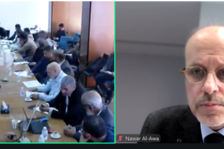 Screenshot from a webinar 