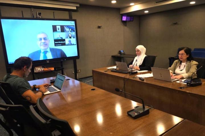 Participants in teleconference