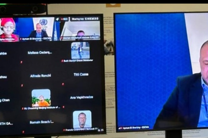 Screenshots from a webinar