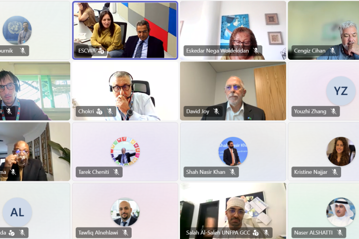 Screenshot of the meeting