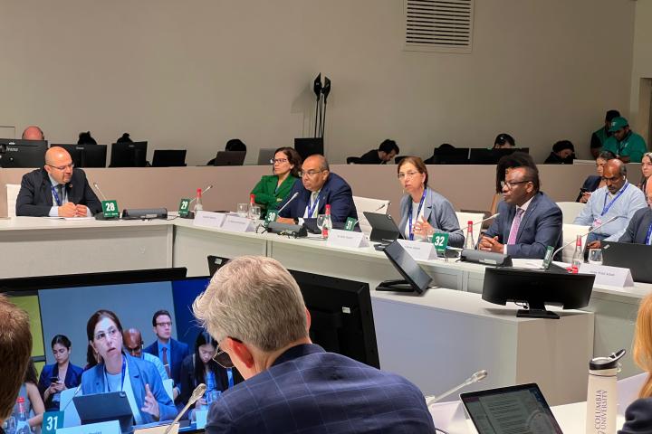 ESCWA at COP 28