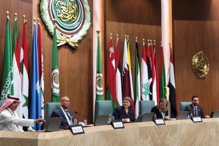 ESCWA and partners in Egypt