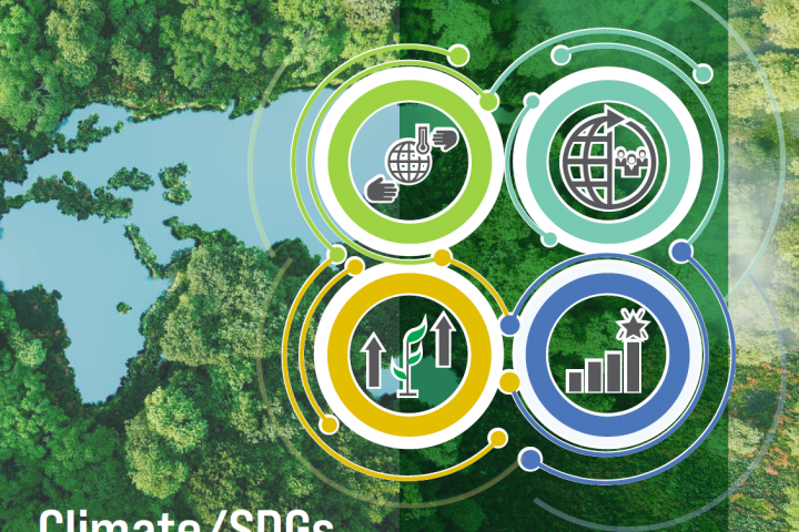 Climate/SDGs Debt Swap initiative