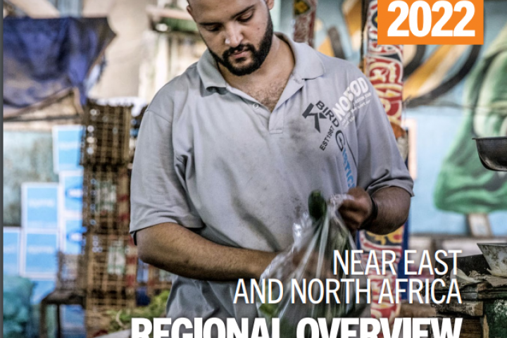 Cover of the report