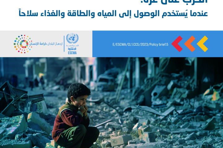 policy brief cover in Arabic