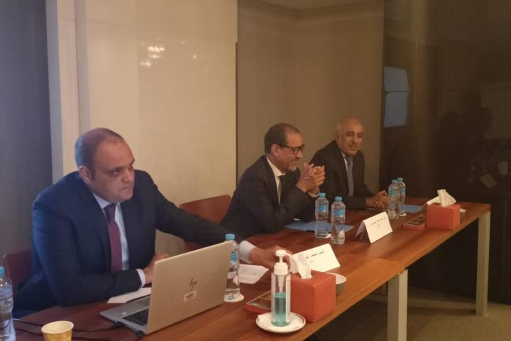 ESCWA staff speaking in the meeting