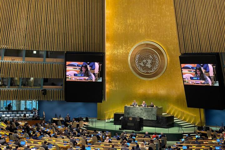 ESCWA at the fifty-fifth session of the UN Statistical Commission