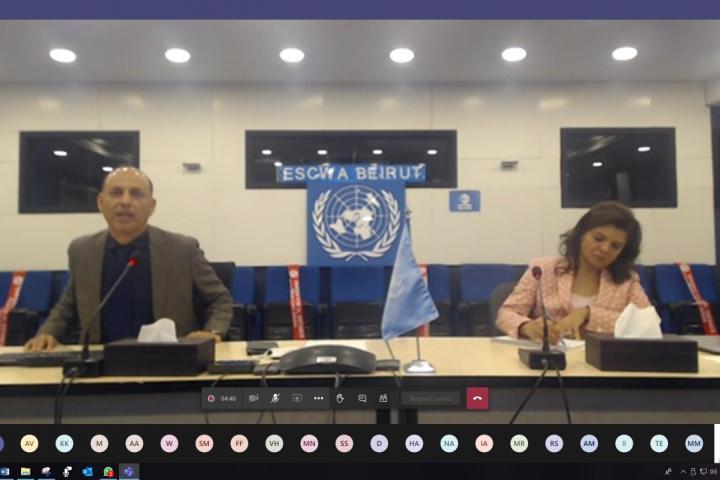 ESCWA staff