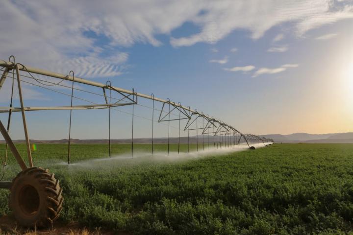 agriculture 