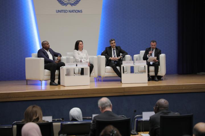 Involving the private sector in delivering the SDGs