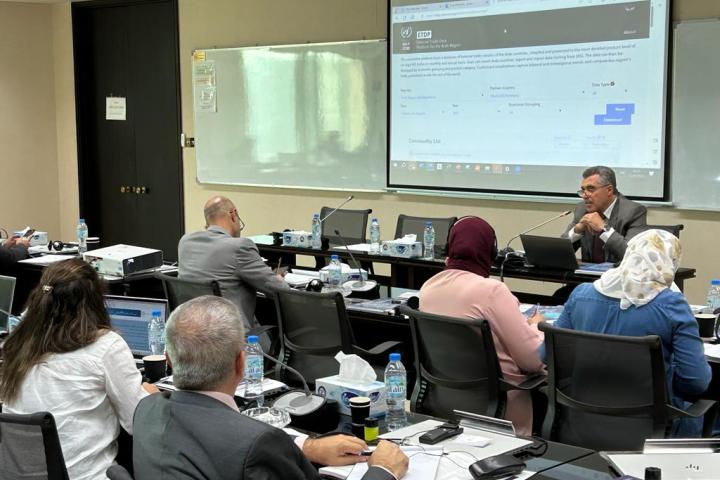 Photo of participants discussing  challenges faced by the Arab region and to comprehend its strategies for developing international digital trade statistics.