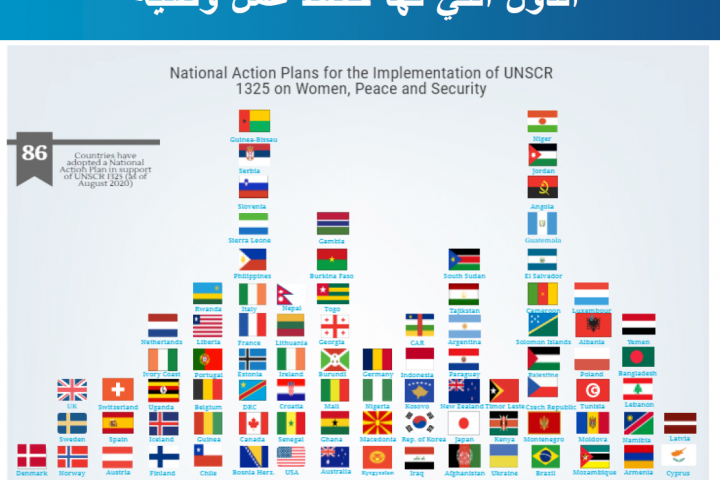 National action plans (NAPs)