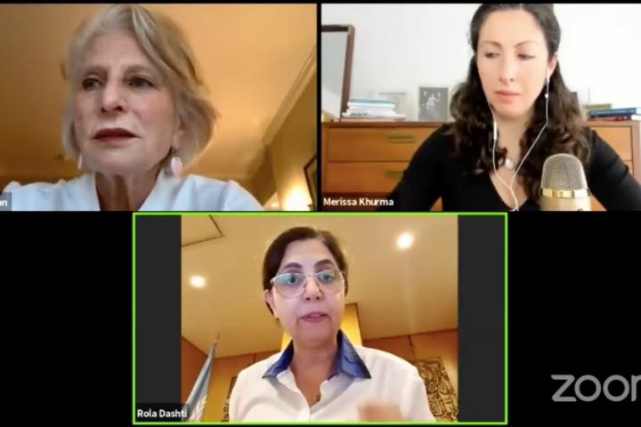 Screenshot from the virtual meeting