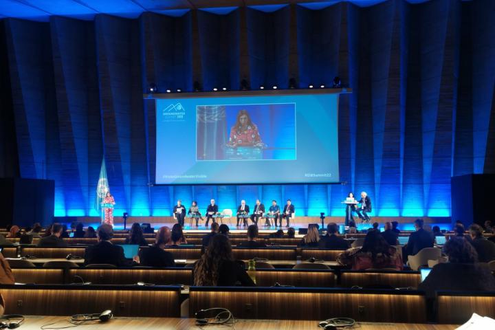 ESCWA at the UN-Water Summit on Groundwater