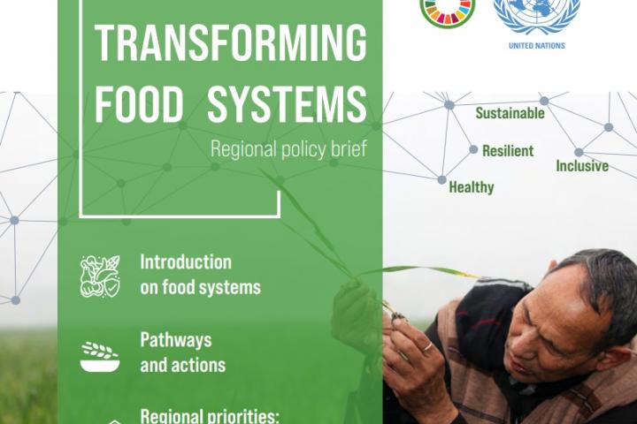 cover of transforming food systems