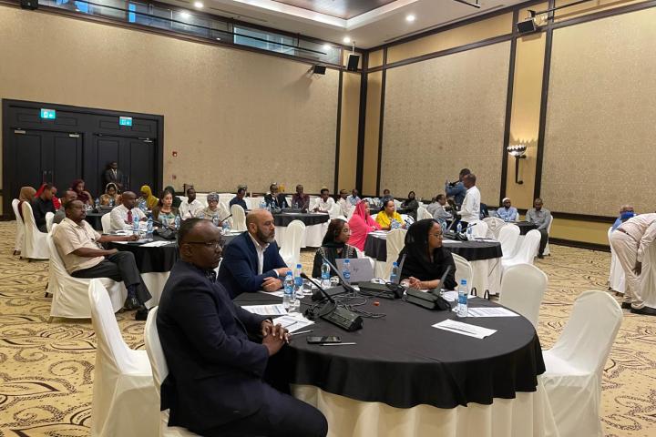 Policies of digital government and emerging technologies in Djibouti