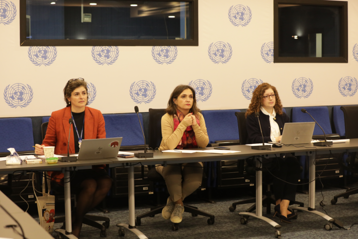 12th Workshop on Voluntary National Reviews