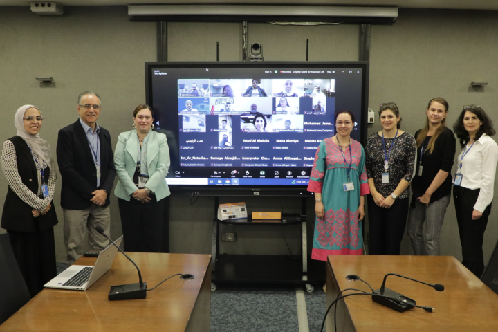 Intersessional Group of Experts on Disability: tenth meeting