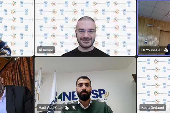 Screenshot from the webinar, showing 6 participants