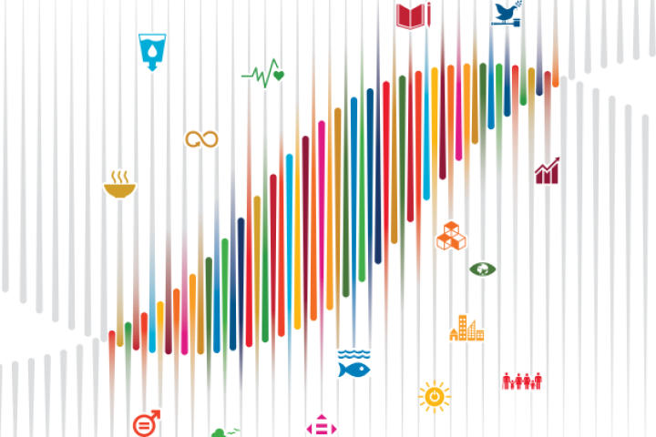 Detail from the report cover, showing SDG colors