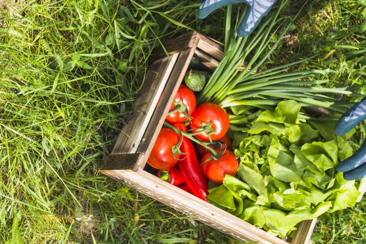 Food security