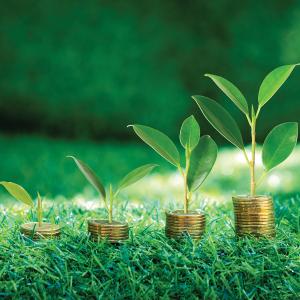 Money with nature above it